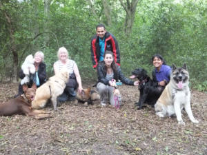 puppy and dog socialisation classes forest walks inverness